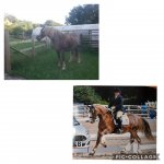 Collage 2020-04-28 16_26_46.jpg