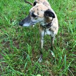 9B99DE70-B48F-4639-B652-8867409F01D9.jpeg 9B99DE70-B48F-4639-B652-8867409F01D9.jpeg