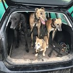 090ACD5C-8EEC-47C6-9F24-A5197084D910.jpeg 090ACD5C-8EEC-47C6-9F24-A5197084D910.jpeg