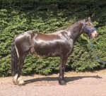 20200419_170553.jpg 20200419_170553.jpg