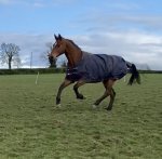 9AC03EED-7009-48EE-91C9-4684C8DB46BE.jpeg 9AC03EED-7009-48EE-91C9-4684C8DB46BE.jpeg