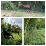 Collage 2020-05-17 20_11_27_compress69.jpg