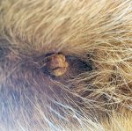 89E3C5FA-B39A-4A5E-9B3C-55DCB3B5735F.jpeg 89E3C5FA-B39A-4A5E-9B3C-55DCB3B5735F.jpeg