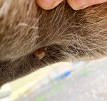 7FF0628F-3141-483B-AD54-365E13333D79.jpeg 7FF0628F-3141-483B-AD54-365E13333D79.jpeg