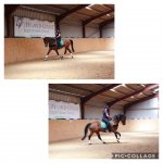 Collage 2020-05-25 21_32_09.jpg