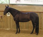 2017-06-27 Alto Lindeza pic 2.jpg