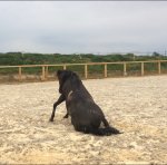 71E24DC9-06D7-4195-875F-1A52FA39B0B9.jpeg 71E24DC9-06D7-4195-875F-1A52FA39B0B9.jpeg