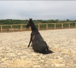 9B32BA60-CA2C-4182-9F35-E0C29135E80B.jpeg 9B32BA60-CA2C-4182-9F35-E0C29135E80B.jpeg