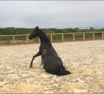 3724DB71-36CC-456F-9353-EEBB4618E00E.jpeg 3724DB71-36CC-456F-9353-EEBB4618E00E.jpeg