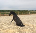 C069673C-530D-42C5-8404-305B7A60E25A.jpeg C069673C-530D-42C5-8404-305B7A60E25A.jpeg