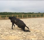 58881799-CECD-4D96-93B0-7AA1C5DEDC41.jpeg 58881799-CECD-4D96-93B0-7AA1C5DEDC41.jpeg