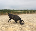 7D6A635D-937E-491F-B674-5460AFC72D17.jpeg 7D6A635D-937E-491F-B674-5460AFC72D17.jpeg