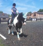 20200613_195712.jpg 20200613_195712.jpg