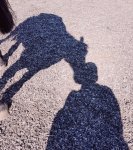 20200615_180553.jpg 20200615_180553.jpg