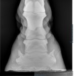 -u152-2_2665230117r.jpg -u152-2_2665230117r.jpg