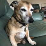 05932EEB-6102-4940-AB89-82C388AFD356.jpeg 05932EEB-6102-4940-AB89-82C388AFD356.jpeg