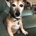 4A452DD2-3C7A-4CA1-8CCE-BB9BCBC7DFBE.jpeg 4A452DD2-3C7A-4CA1-8CCE-BB9BCBC7DFBE.jpeg