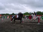 lynne's joust 007.jpg