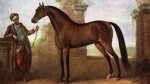 godolphin-arabian.jpg
