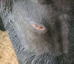 Screenshot_20200708-221236_Gallery.jpg Screenshot_20200708-221236_Gallery.jpg