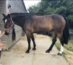 805210DA-5ABC-462E-BC25-4FFDC1BB5FE5.jpeg 805210DA-5ABC-462E-BC25-4FFDC1BB5FE5.jpeg