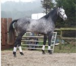 E7479CD8-6D40-4F8E-B704-FF360B86240B.jpeg E7479CD8-6D40-4F8E-B704-FF360B86240B.jpeg