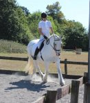 70914906_10157229418417254_6331285963335008256_o.jpg 70914906_10157229418417254_6331285963335008256_o.jpg