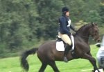 Phoenix Dressage pic.jpg