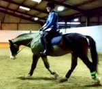 C11F5A89-8BAD-4772-BF7F-42508A1578CC.jpeg C11F5A89-8BAD-4772-BF7F-42508A1578CC.jpeg