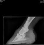 20200814_101018.jpg 20200814_101018.jpg