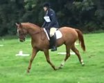 Reilee Dressage 2.jpg