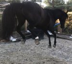 2AC1DEA4-787F-4A39-A503-360409FB1238.jpeg 2AC1DEA4-787F-4A39-A503-360409FB1238.jpeg