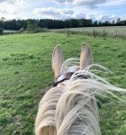 A287E617-251C-4328-8576-B44CA5679791.jpeg A287E617-251C-4328-8576-B44CA5679791.jpeg