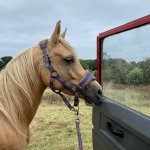 367A0154-60F0-4BE3-B432-9EAC977708A7.jpeg 367A0154-60F0-4BE3-B432-9EAC977708A7.jpeg