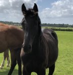 AC4B54E3-71D8-488A-96AF-72B2471803A1.jpeg AC4B54E3-71D8-488A-96AF-72B2471803A1.jpeg