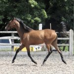 4980BF14-0A2B-4905-B034-400633506D7F.jpeg 4980BF14-0A2B-4905-B034-400633506D7F.jpeg