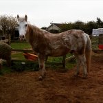 20200903_083617.jpg 20200903_083617.jpg