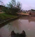 AF9C726C-AE5E-49D0-9F61-42C5D2AA274A.jpeg AF9C726C-AE5E-49D0-9F61-42C5D2AA274A.jpeg