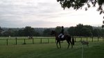 Deer at Cornbury.jpg