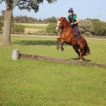 BFB8EA0E-CBD3-4549-8FF7-75A412B778A6.jpeg BFB8EA0E-CBD3-4549-8FF7-75A412B778A6.jpeg