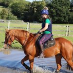 205CE39D-E9DE-42F7-BF80-44B6FF8FB02F.jpeg 205CE39D-E9DE-42F7-BF80-44B6FF8FB02F.jpeg