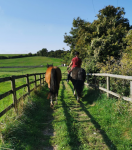 Screenshot_20200915-201714~2.png Screenshot_20200915-201714~2.png