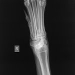 B215C09C-302B-49F7-92D8-80D8483625CF.jpeg B215C09C-302B-49F7-92D8-80D8483625CF.jpeg