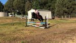 Henry jump Jan 2018.jpg Henry jump Jan 2018.jpg