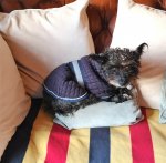 IMG_20181031_111407.jpg IMG_20181031_111407.jpg