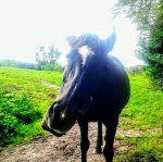 2014-09-05 15.25.32 (1500x1489).jpg