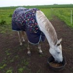 FB_IMG_1600985150756.jpg FB_IMG_1600985150756.jpg