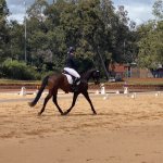 Henrry Gidge dressage.jpg