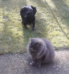 received_272990673822535.jpeg received_272990673822535.jpeg