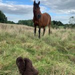 31DFE159-CB65-490A-9C40-96CFB6C4FCAC.jpeg 31DFE159-CB65-490A-9C40-96CFB6C4FCAC.jpeg